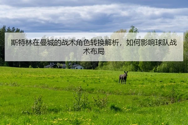 斯特林在曼城的战术角色转换解析，如何影响球队战术布局