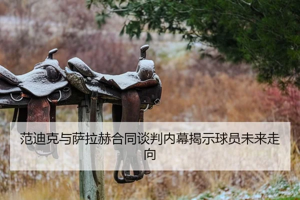 范迪克与萨拉赫合同谈判内幕揭示球员未来走向